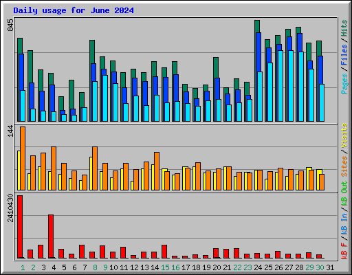 Daily usage for June 2024