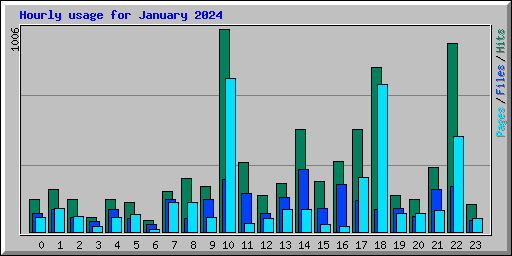 Hourly usage for January 2024