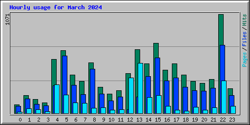 Hourly usage for March 2024